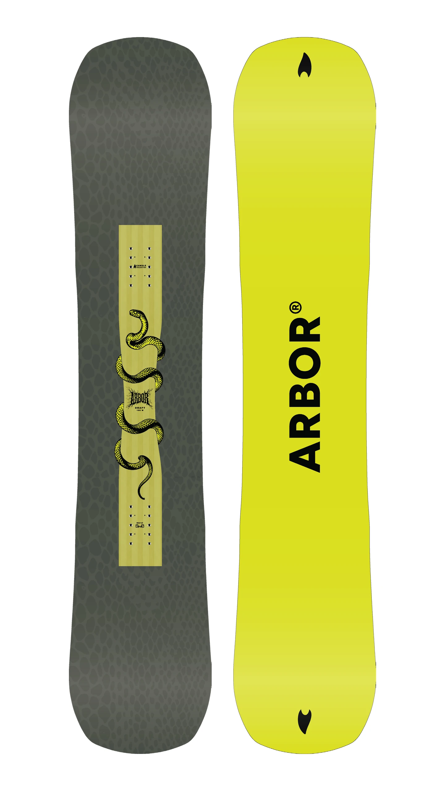 Arbor Draft